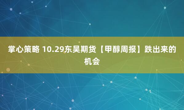 掌心策略 10.29东吴期货【甲醇周报】跌出来的机会