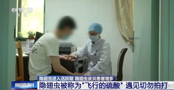 长城配资 别拍打！“飞行硫酸”隐翅虫进入活跃期 防范指南请查收→