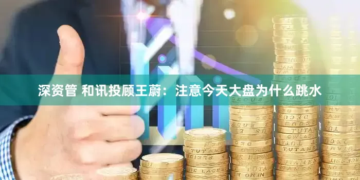 深资管 和讯投顾王蔚：注意今天大盘为什么跳水
