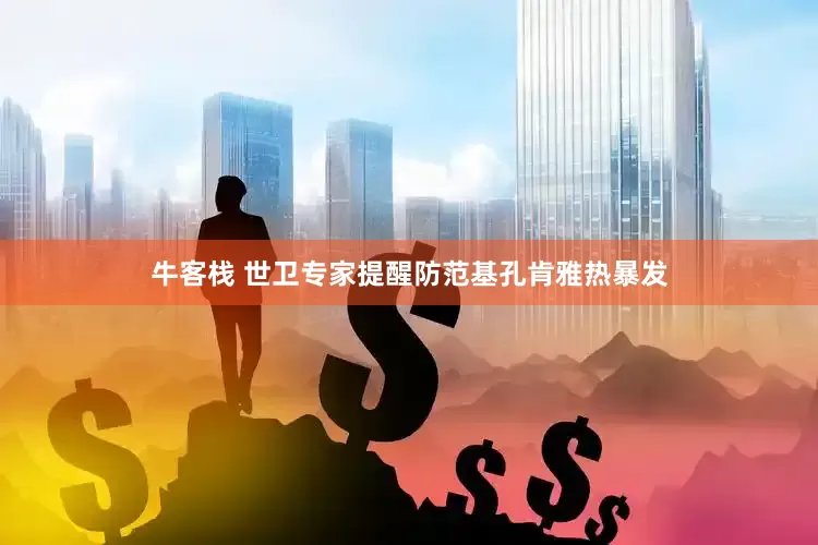 牛客栈 世卫专家提醒防范基孔肯雅热暴发