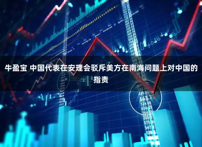 牛盈宝 中国代表在安理会驳斥美方在南海问题上对中国的指责