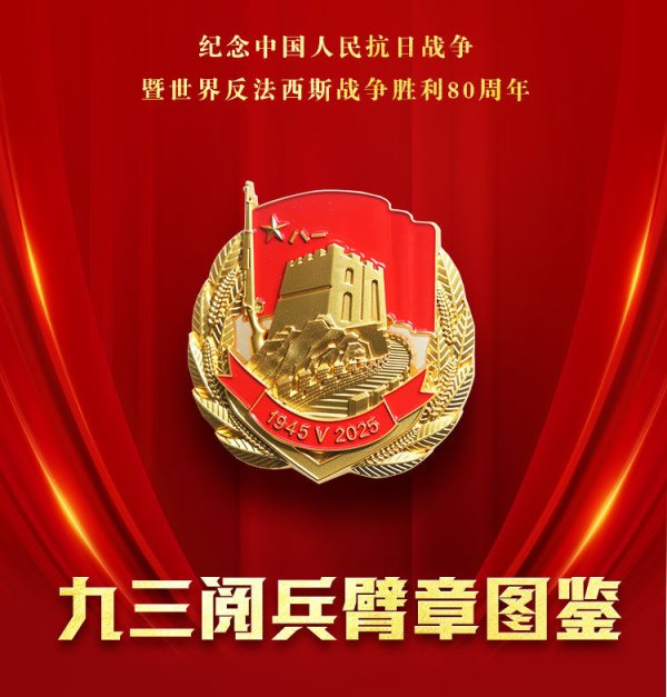 君盈配资 请收藏！九三阅兵臂章图鉴