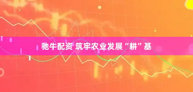 驰牛配资 筑牢农业发展“耕”基