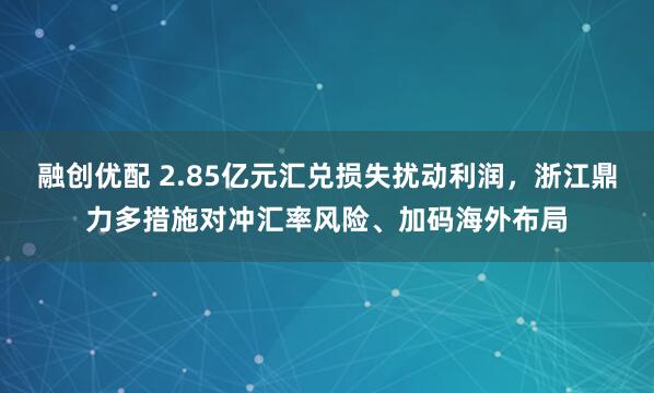 融创优配 2.85亿元汇兑损失扰动利润，浙江鼎力多措施对冲汇率风险、加码海外布局